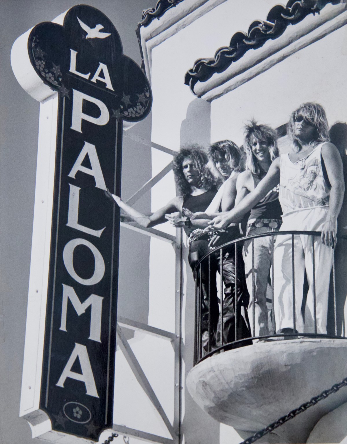 Snakebyte on the La Paloma balcony